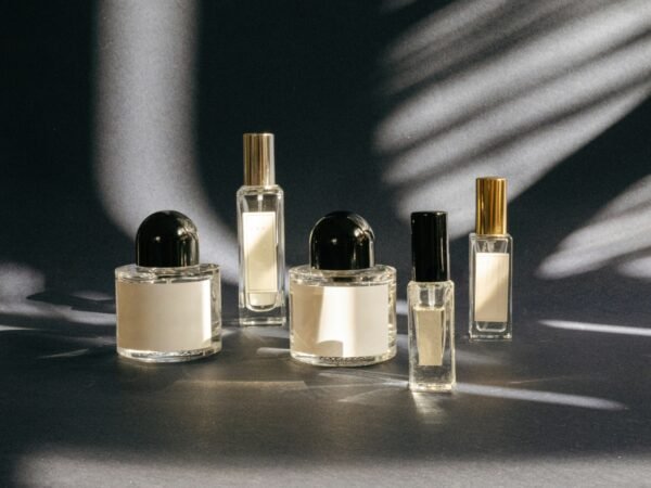 lera-ginzburg-N8WxMVijPKw-unsplash